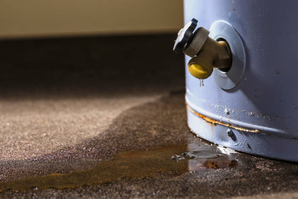 Best Flooded house restoration  in Steelton, PA