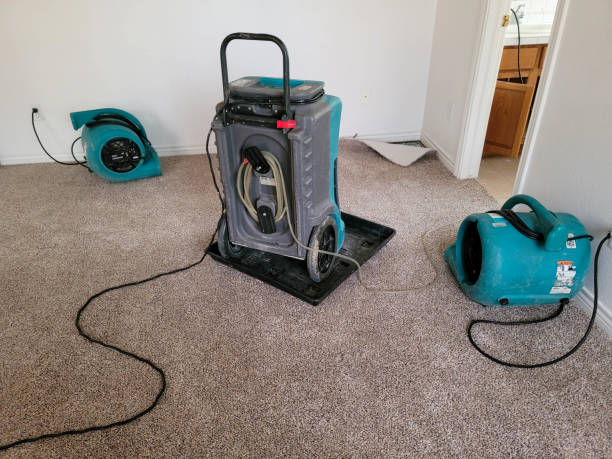 Best Flood restoration services  in Steelton, PA