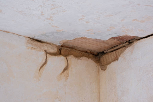 Best Residential water damage restoration  in Steelton, PA