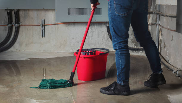 Best Professional water damage repair  in Steelton, PA