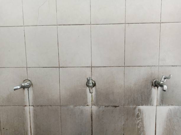 Best Carpet water damage restoration  in Steelton, PA