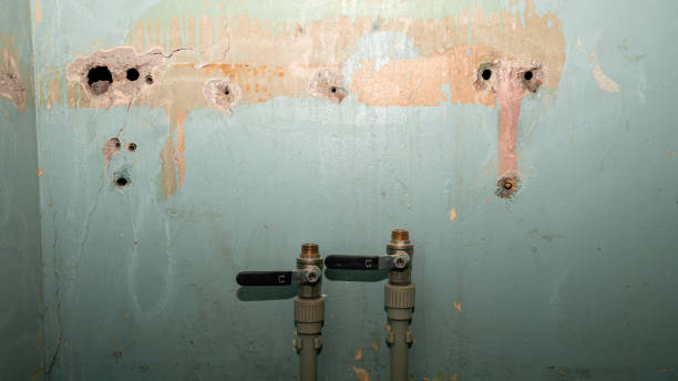 Best Local water damage restoration  in Steelton, PA
