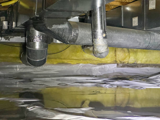 Best Sewage cleanup and water damage restoration  in Steelton, PA