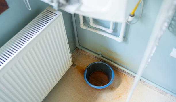 Best Ceiling water damage repair  in Steelton, PA