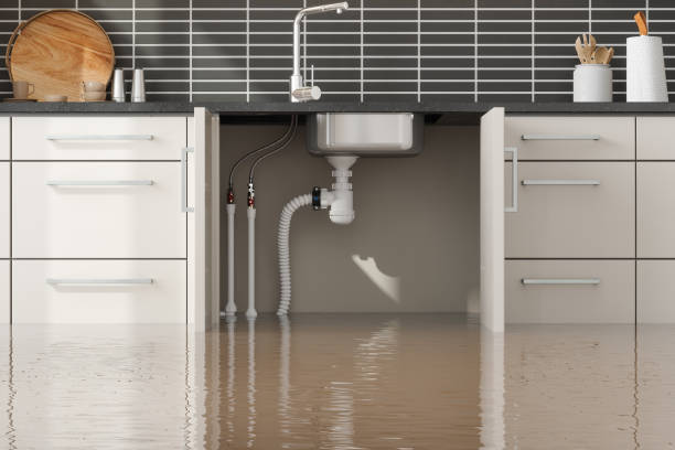 Best Mold removal after water damage  in Steelton, PA