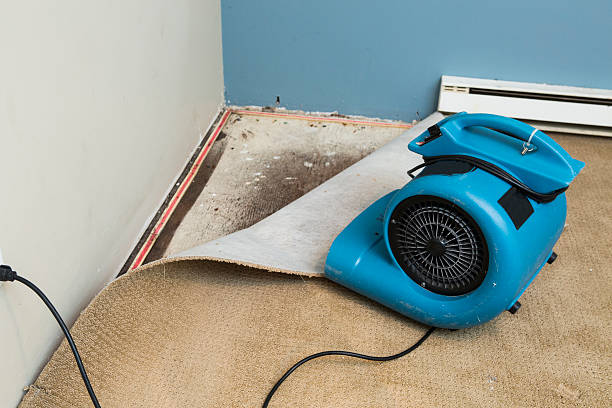 Best 24-hour water damage restoration  in Steelton, PA